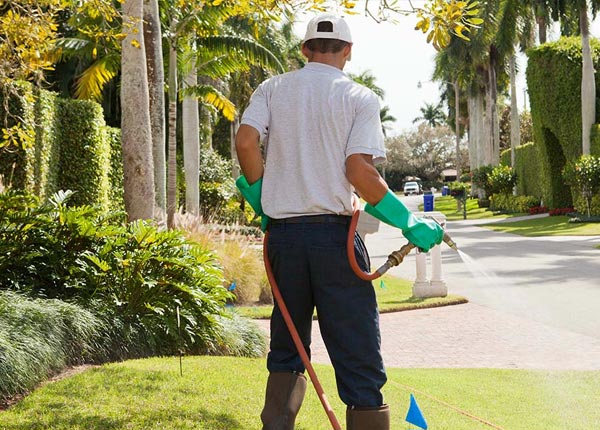About Woodbury NJ Pest Control Pros